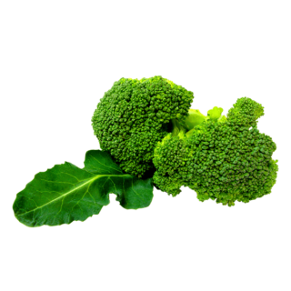 Organic Broccoli 500g