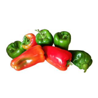 Organic Capsicum 500g