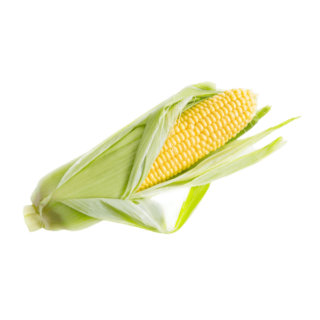 Organic Corn 1pc