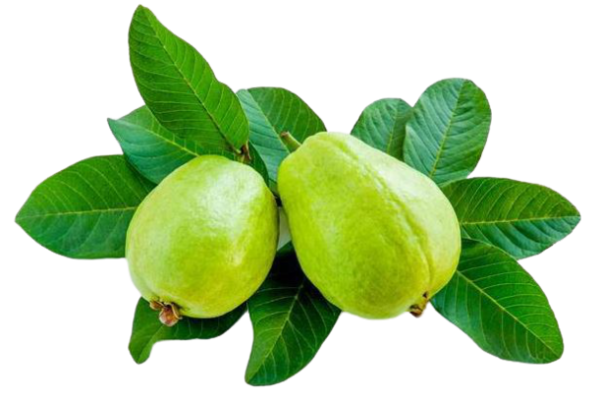 Organic Guava 500G