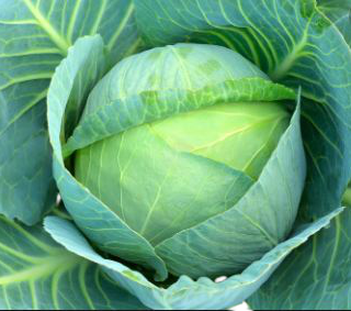 Cabage 1kg.