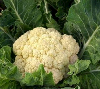 Cauliflower 1KG.